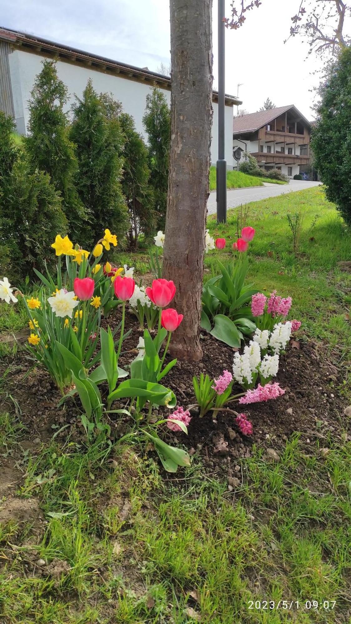 Ferienhaus Am Bach Achslach Buitenkant foto