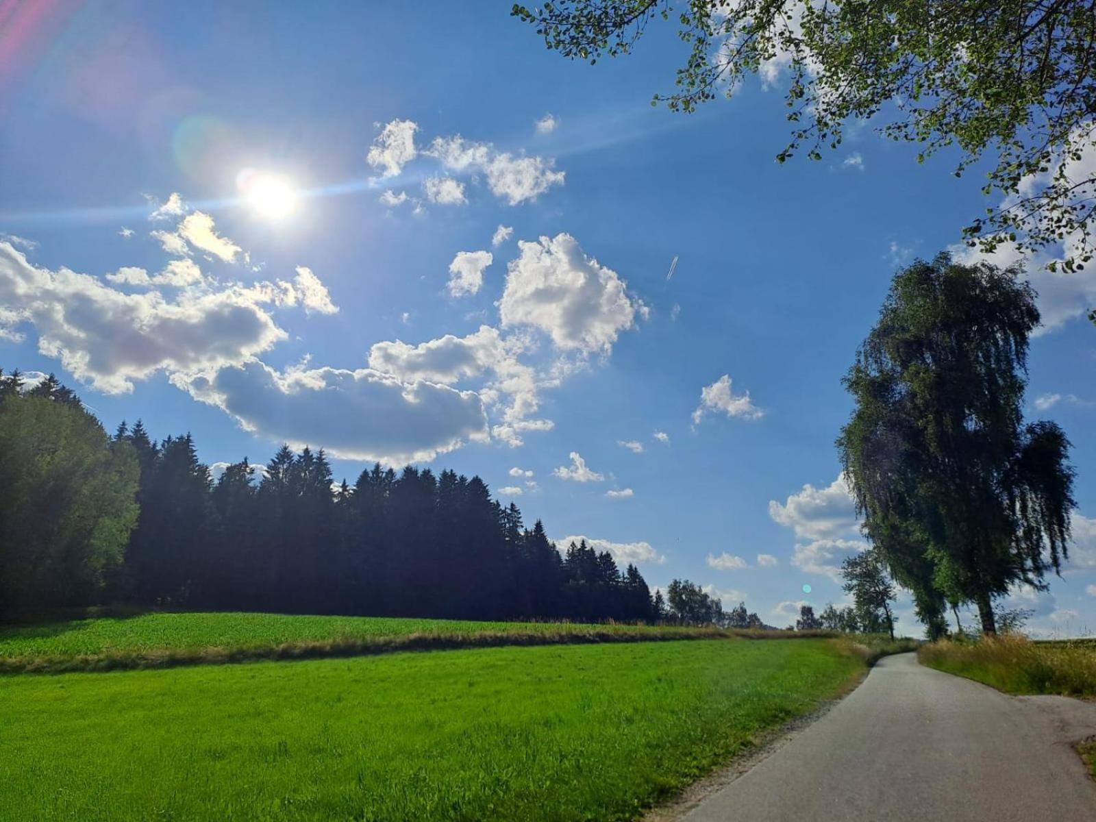 Ferienhaus Am Bach Achslach Buitenkant foto