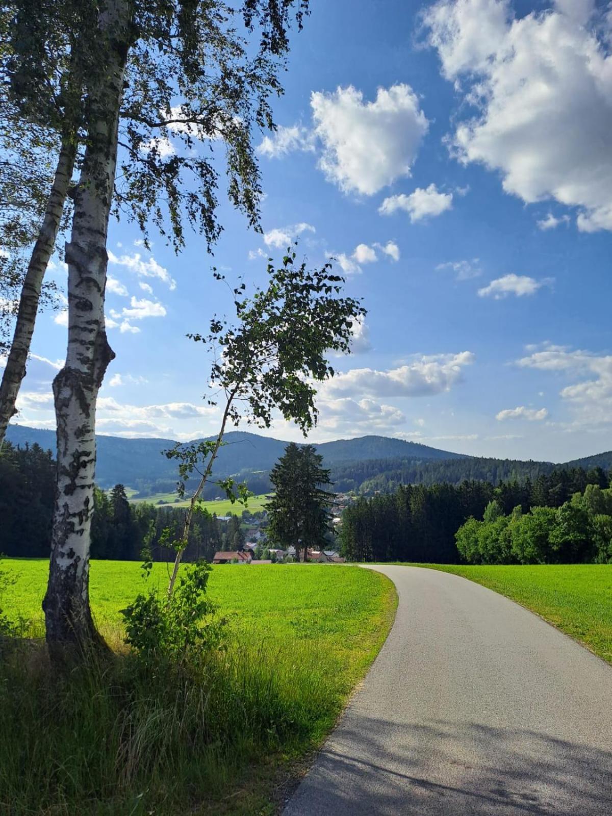 Ferienhaus Am Bach Achslach Buitenkant foto
